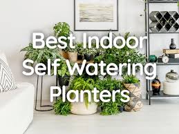 7 Best Indoor Self Watering Planters