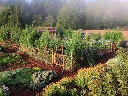 what is permaculture garden storables