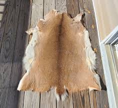 whitetail deer hide rug home wall