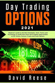 day trading options a beginner s guide