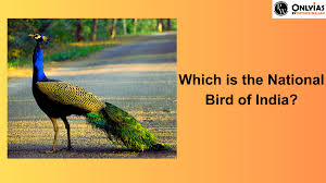 national bird of india interesting