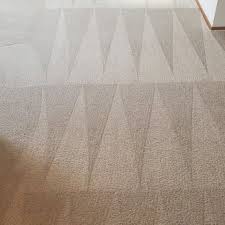 five star chem dry upholstery carpet