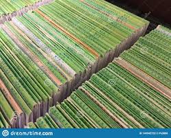 Close Up Of Medical Files In Alphabetical Order In Filing