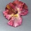 What can i use dried hibiscus flowers for. 1