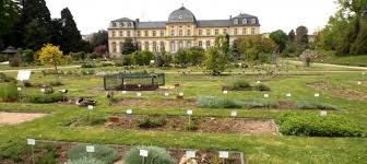 botanische gärten der universität bonn