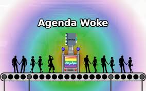 qué es una agenda woke