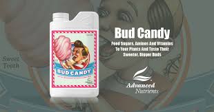 Bud Candy Carbohydrate Enhancer Advanced Nutrients