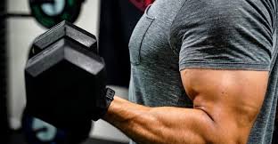 workout arms after chest day