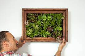 how to make a vertical garden the