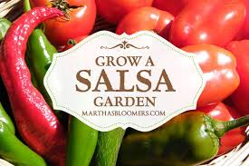 Start Growing Your Own Salsa Garden