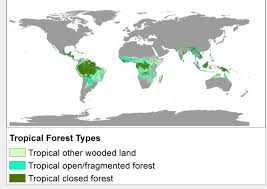 The traditional seasons of spring, summer, fall and winter are absent in rain fore the tropical rain forest has two seasons: Tropical Forest Wikiwand