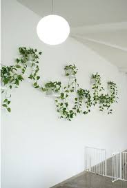 50 Best Indoor Plant Decor Ideas To