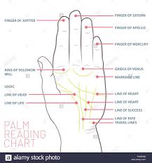 Palmistry Cut Out Stock Images Pictures Alamy