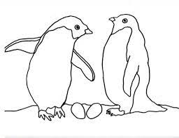 Arctic animals song for children. Keptalalat A Kovetkezore Antarctic Animals Coloring Pages Penguin Coloring Pages Owl Coloring Pages Penguin Coloring