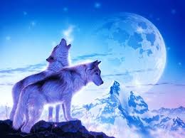 82 top wolf fantasy wallpapers , carefully selected images for you that start with w letter. Wolf Fantasy Wallpapers Group 82