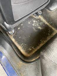 complete mold removal from car interior