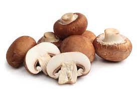 Portobello Mushroom Agaricus Bisporus Stock Photo Image Of  gambar png