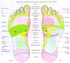 51 Right Nerve Endings In Feet Chart