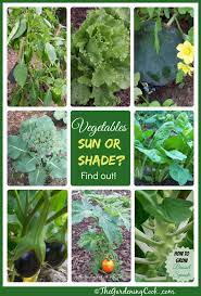 Shade Tolerant Vegetables Vs Sun