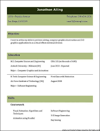 information technology it resume sample professional resume     Pinterest