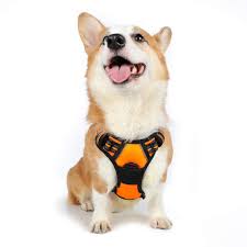 Rabbitgoo No Pull Dog Harness Small Front Loading Pet Vest Harness With Handle Adjustable Dog Padded Harness Reflective Mesh Easy Control Puppy