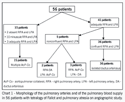 Angiographic Study Of Pulmonary Circulation In Tetralogy Of