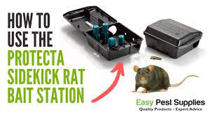 protecta sidekick rat bait station