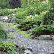 A Lush Garden On The Rocks Finegardening