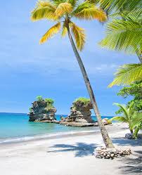 Other st lucia beaches near cap estate are smuggler's cove beach (good for snorkeling) and anse bucne (another black sand beach). Beaches Jade Mountain St Lucia St Lucia S Most Romantic Luxury Resort