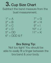54 Special Front View Breast Size Chart How To Draw