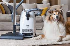 Best Canister Vacuum For Pet Hair