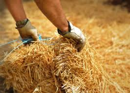 straw mulch uses and benefits