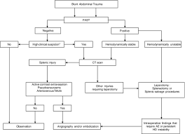Flowchart For The Diagnostic And Therapeutic Management Of