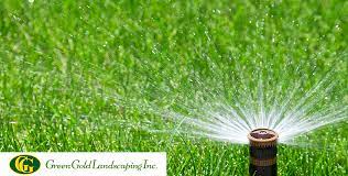 Some, however, can take up to a month. How To Do Watering After Overseeding Green Gold Landscaping Inc