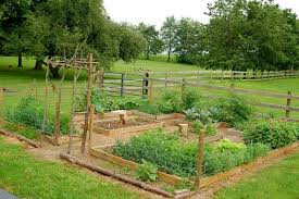 Diy Vegetable Garden Ideas