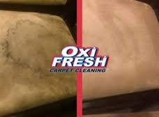 oxi fresh carpet cleaning phoenix az
