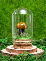 1pc Mushroom Glass Dome Cloche Cover