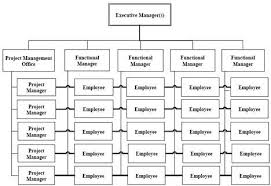 Sample 7 Matrix Organization Structure In Pm Project