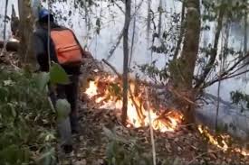 Pemberian akses ini dituangkan dalam peraturan menteri kehutanan nomor. Kebakaran Hebat Terjadi Lagi Di Taman Nasional Gunung Ciremai
