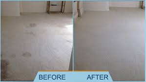 colorado stain removal pet stain