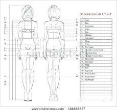 Template For Body Measurements Oneskytravel Co
