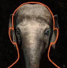 the elephant in the courtroom the new
