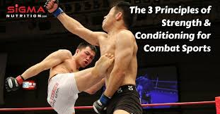 conditioning for combat sports