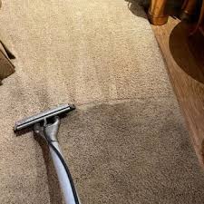 carpet cleaning near wayne ne 68787