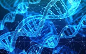 You can also upload and share your favorite dna wallpapers. Download Wallpapers Dna Digital Art Close Up Helix Structure Blue Neon For Desktop With Resolution 1920x1200 High Quality Hd Pictures Wallpapers