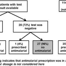 Flow Chart Of Testing Results And Antimalarial Treatments