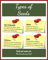 seed types open pollinated heirloom