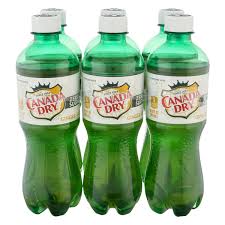 save on canada dry ginger ale t 6