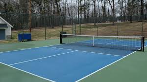 It can best be described as a combination of ping pong and tennis played on a tennis. Greenvillians Can T Get Enough Of Pickleball Greenville Journal