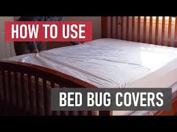 How To Use Bed Bug Covers Bed Bug